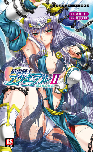 精霊騎士アクエアル2　穢されし聖涙